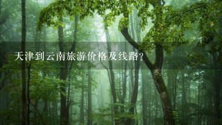 天津到云南旅游价格及线路？