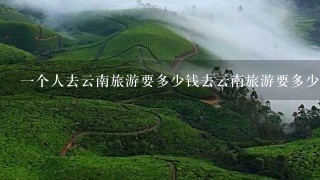 1个人去云南旅游要多少钱去云南旅游要多少钱