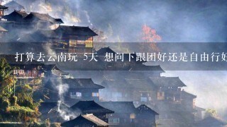 打算去云南玩 5天 想问下跟团好还是自由行好 有路线攻略吗