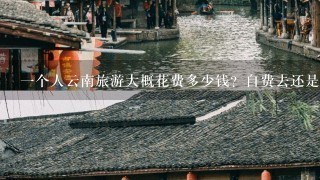 1个人云南旅游大概花费多少钱？自费去还是旅行社划算？哪些景点好玩？