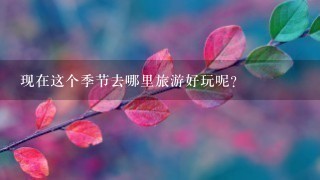 现在这个季节去哪里旅游好玩呢？