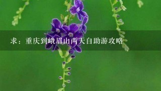 求：重庆到峨眉山两天自助游攻略