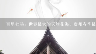 百里杜鹃：世界最大的天然花海，贵州春季最不可错过