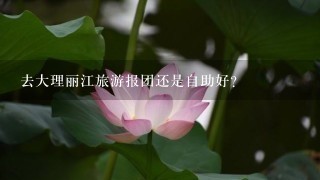 去大理丽江旅游报团还是自助好？