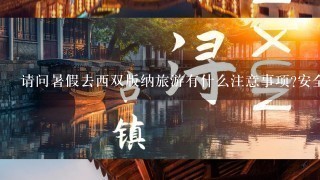 请问暑假去西双版纳旅游有什么注意事项?安全天气之类的。