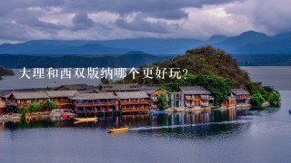 大理和西双版纳哪个更好玩？