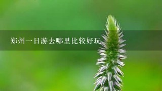 郑州1日游去哪里比较好玩