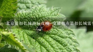 北京箭扣长城游玩攻略-交通指南箭扣长城需要门票吗