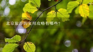 北京旅游的实用攻略有哪些？