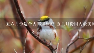 56月份适合去哪里旅游 56月份国内最美的10个地方推荐