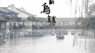 到张家界旅游是跟团好，还是自由行好