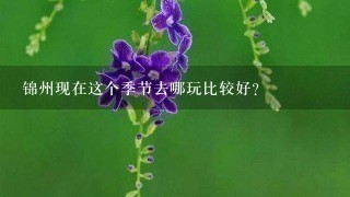 锦州现在这个季节去哪玩比较好?