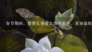 春节期间，想带女朋友去贵州旅游，求知道的推荐1下，谢谢了！！！