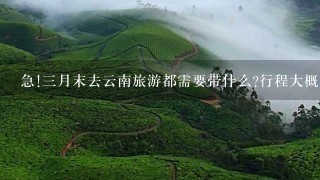 急!3月末去云南旅游都需要带什么?行程大概是丽江、大理、西双版纳