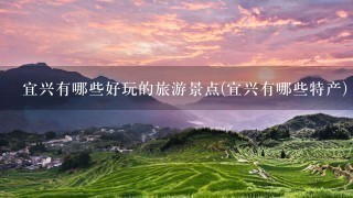 宜兴有哪些好玩的旅游景点(宜兴有哪些特产)