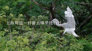 上海周边1日游去哪里比较好