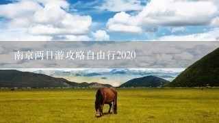 南京两日游攻略自由行2020