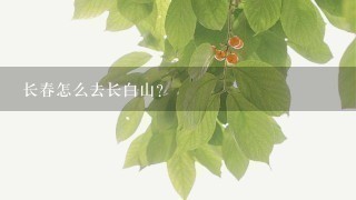 长春怎么去长白山？