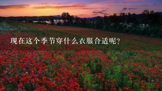 现在这个季节穿什么衣服合适呢？