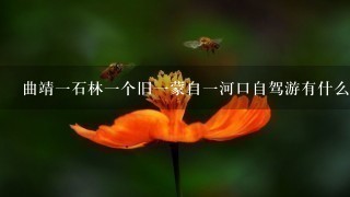 曲靖1石林1个旧1蒙自1河口自驾游有什么景点，到越南什么地方好玩