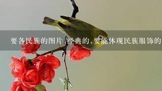 要各民族的图片,经典的,要能体现民族服饰的，代表性