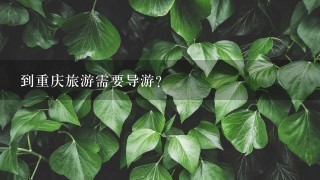 到重庆旅游需要导游？