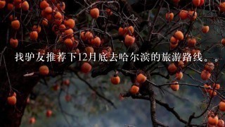 找驴友推荐下12月底去哈尔滨的旅游路线。。计划15天