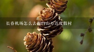 长春机场怎么去长白山万达度假村