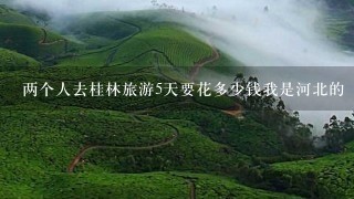 两个人去桂林旅游5天要花多少钱我是河北的