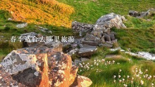 春季适合去哪里旅游