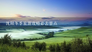 沈阳冬季旅游攻略必去景点