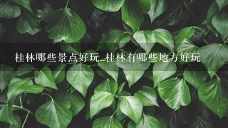 桂林哪些景点好玩_桂林有哪些地方好玩