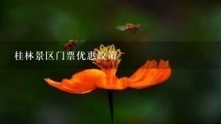 桂林景区门票优惠政策