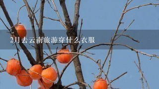 2月去云南旅游穿什么衣服