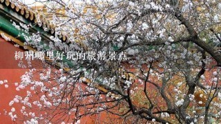 柳州哪里好玩的旅游景点