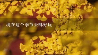 现在这个季节去哪好玩