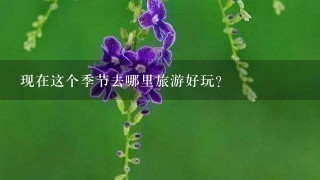 现在这个季节去哪里旅游好玩？