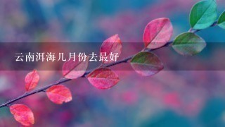 云南洱海几月份去最好