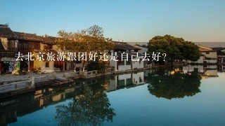 去北京旅游跟团好还是自己去好？