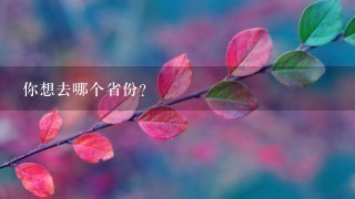 你想去哪个省份？