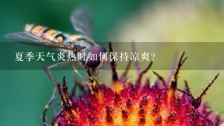 夏季天气炎热时如何保持凉爽？