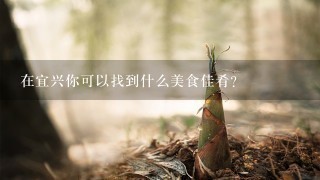 在宜兴你可以找到什么美食佳肴？