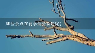 哪些景点在夏季最受欢迎呢？