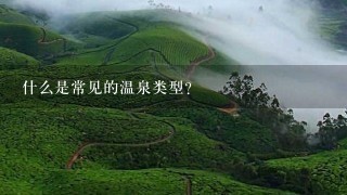 什么是常见的温泉类型