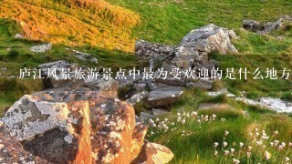 庐江风景旅游景点中最为受欢迎的是什么地方