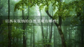 以西双版纳的自然景观有哪些?