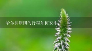 哈尔滨跟团的行程如何安排?