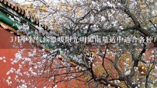 3月中旬气候温暖阳光明媚雨量适中适合各种户外活动请问您可以推荐一些适合三月中旬去旅行的目的地吗?