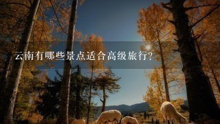 云南有哪些景点适合高级旅行?