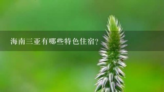 海南三亚有哪些特色住宿?